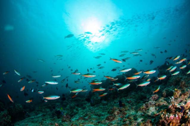 Batas Laut Negara Indonesia