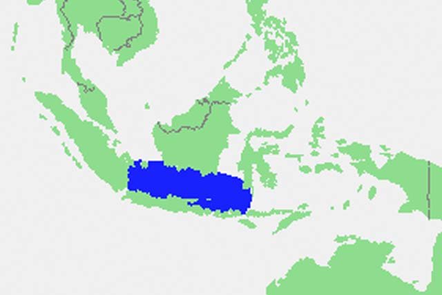 Laut Jawa