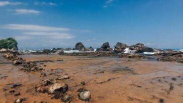 Pantai Selatan Pulau Jawa