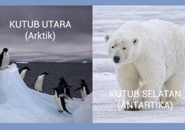 Perbedaan Kutub Utara dan Kutub Selatan