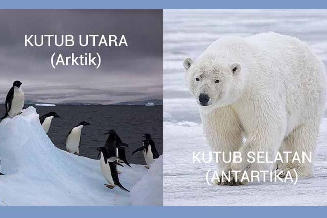 Perbedaan Kutub Utara dan Kutub Selatan