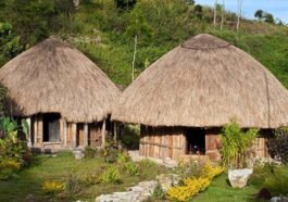 Rumah Adat Papua