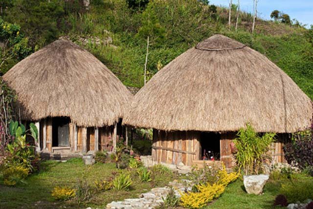 Rumah Adat Papua