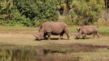 Tempat Wisata di Bogor