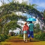 Tempat Romantis untuk Honeymoon di Garut