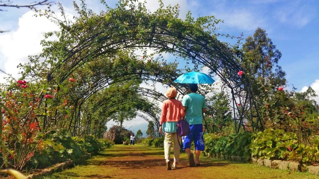 Tempat Romantis untuk Honeymoon di Garut